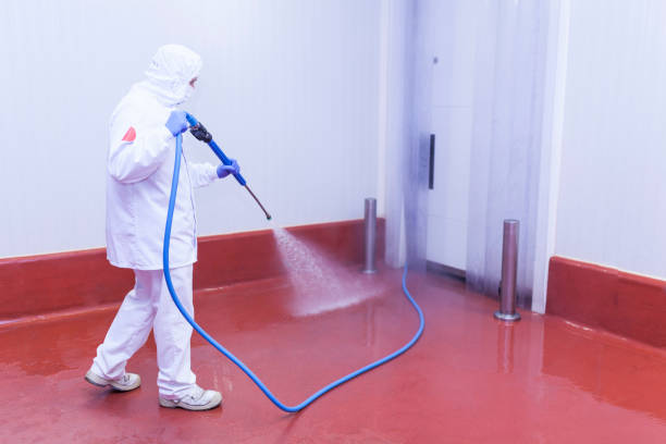 Best Rust Removal  in Circleville, OH
