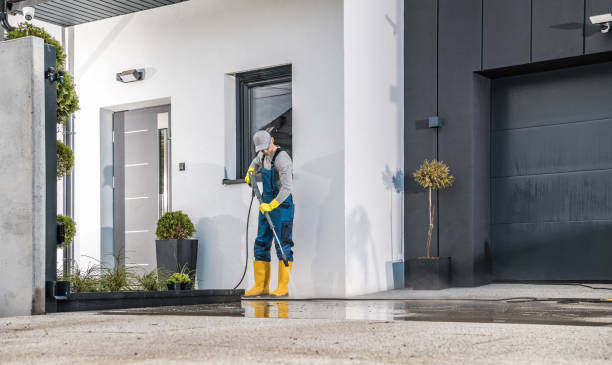 Best Gutter Cleaning  in Circleville, OH